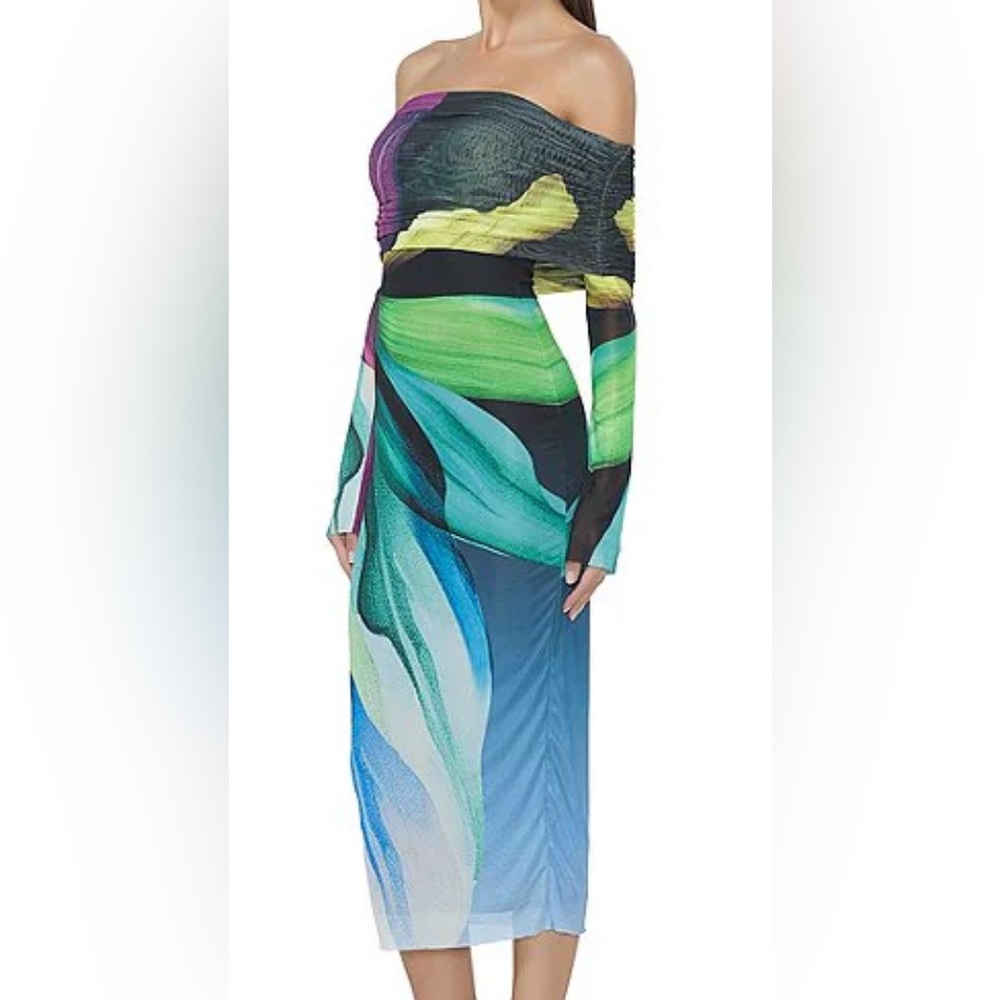 Cornelia Printed Off the Shoulder Long Sleeve Mesh Midi Dress